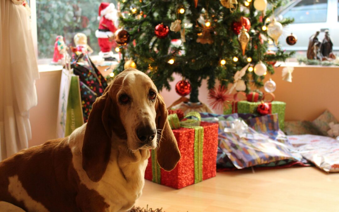 How To Keep Your Pet Safe This Holiday Season